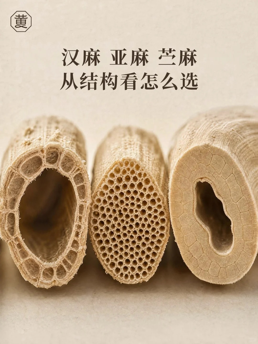 汉麻亚麻苎麻怎么选，核心不是看名字，看纤维结构能推导出各自适合的环境。汉麻：纤维