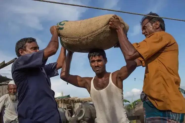 印度放最后警告！化肥断供要闹饥荒，14亿人饭碗悬了，嘴硬真扛不住饿。印度发出最
