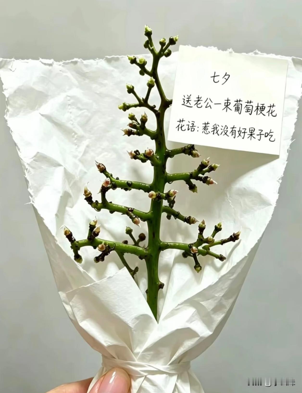 看看你们都送了哪些花？