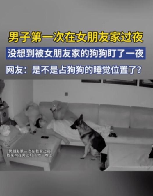 “笑不活了！”男子第1次去女友家过夜，为了给女友留下好印象，自告奋勇睡沙发，本以