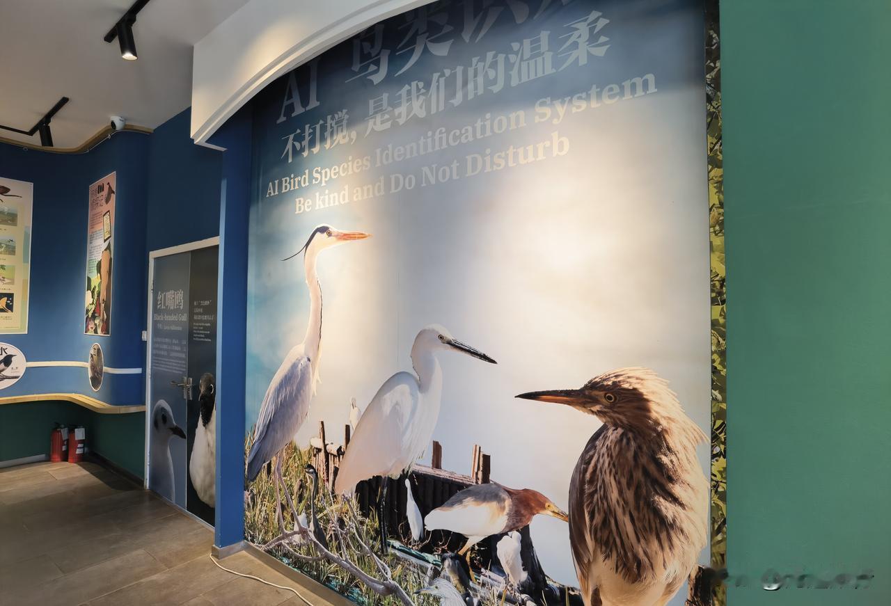 昆明翠湖生态文明展厅，位于翠湖九龙池的东北侧，是一个带娃参观学习的好地方。在逛公