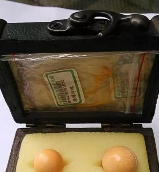 1995年，一位厨师在后厨处理海螺时，发现海螺肉中有两颗结石，厨师觉得好看，就随