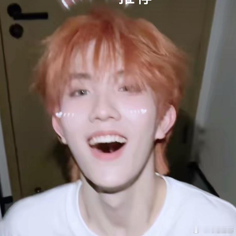 ？。​​​