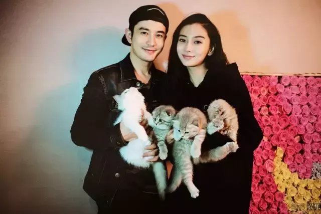 当问黄晓明为何娶杨颖, 答曰: 虽抽烟但人品极好, 谢娜的表情亮了