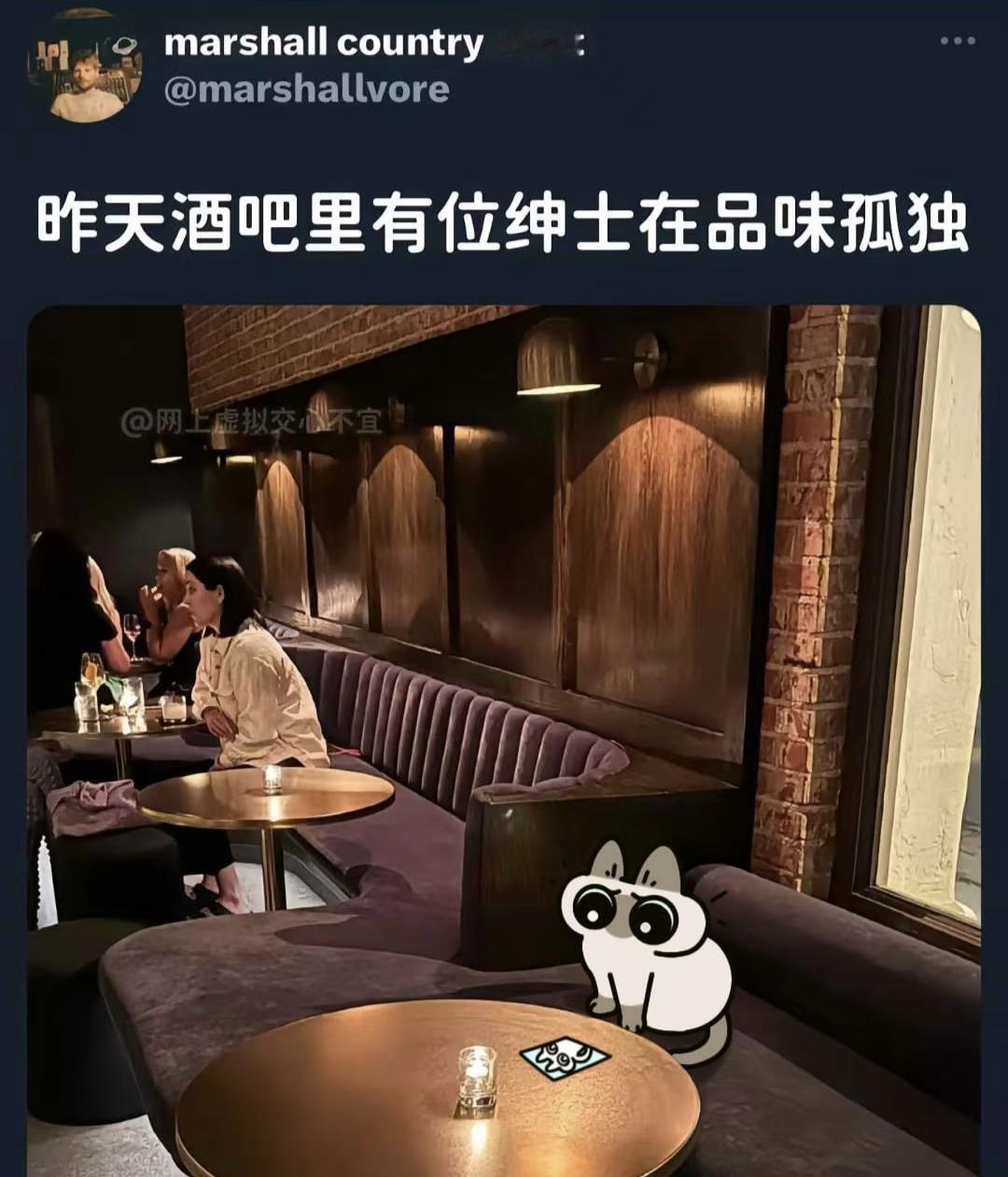 那么泥在想些什么呢豆泥梗图317/1000暹罗猫小豆泥小豆泥猫猫萌