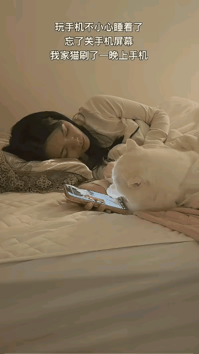 广东，一女子躺床上玩手机，玩着玩着就睡着了，手机也没关，结果没想到她养的猫咪竟悄