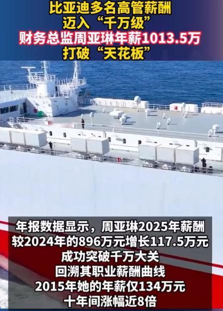 终于知道比亚迪年薪1013.5万周亚琳是哪个大学毕业的了不是清华北大，不是9