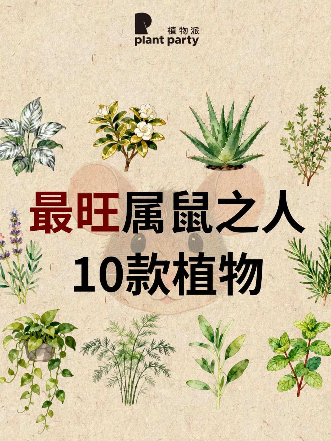 生肖鼠🐭一生最旺天选植物💰旺到发光