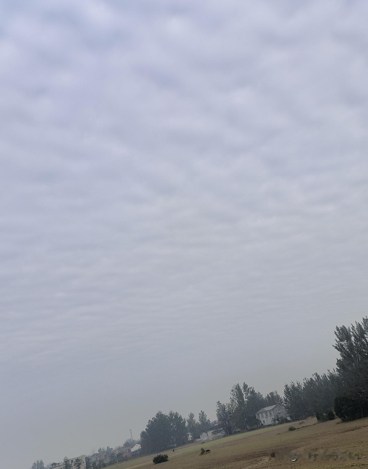 4亿多罚单暂停执行，但药厂已经快扛不住了？来说个事儿。西安有家药厂，头上一直