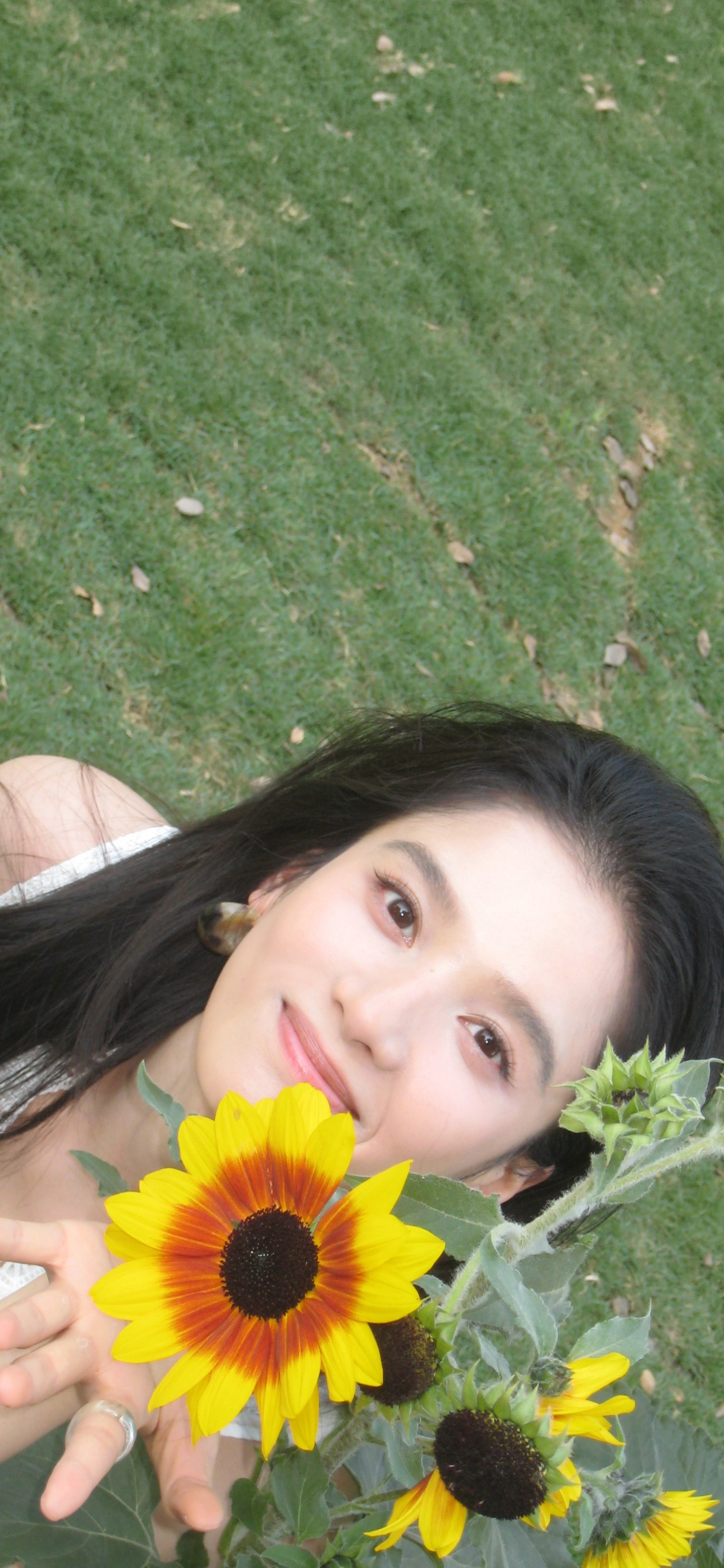 张婧仪​​​