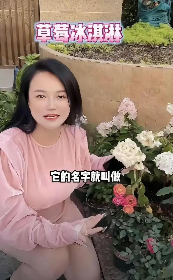 近日，邹市明一家又上了热搜！冉莹颖晒图上海花园别墅，镜头中繁花盛开，她还对花卉