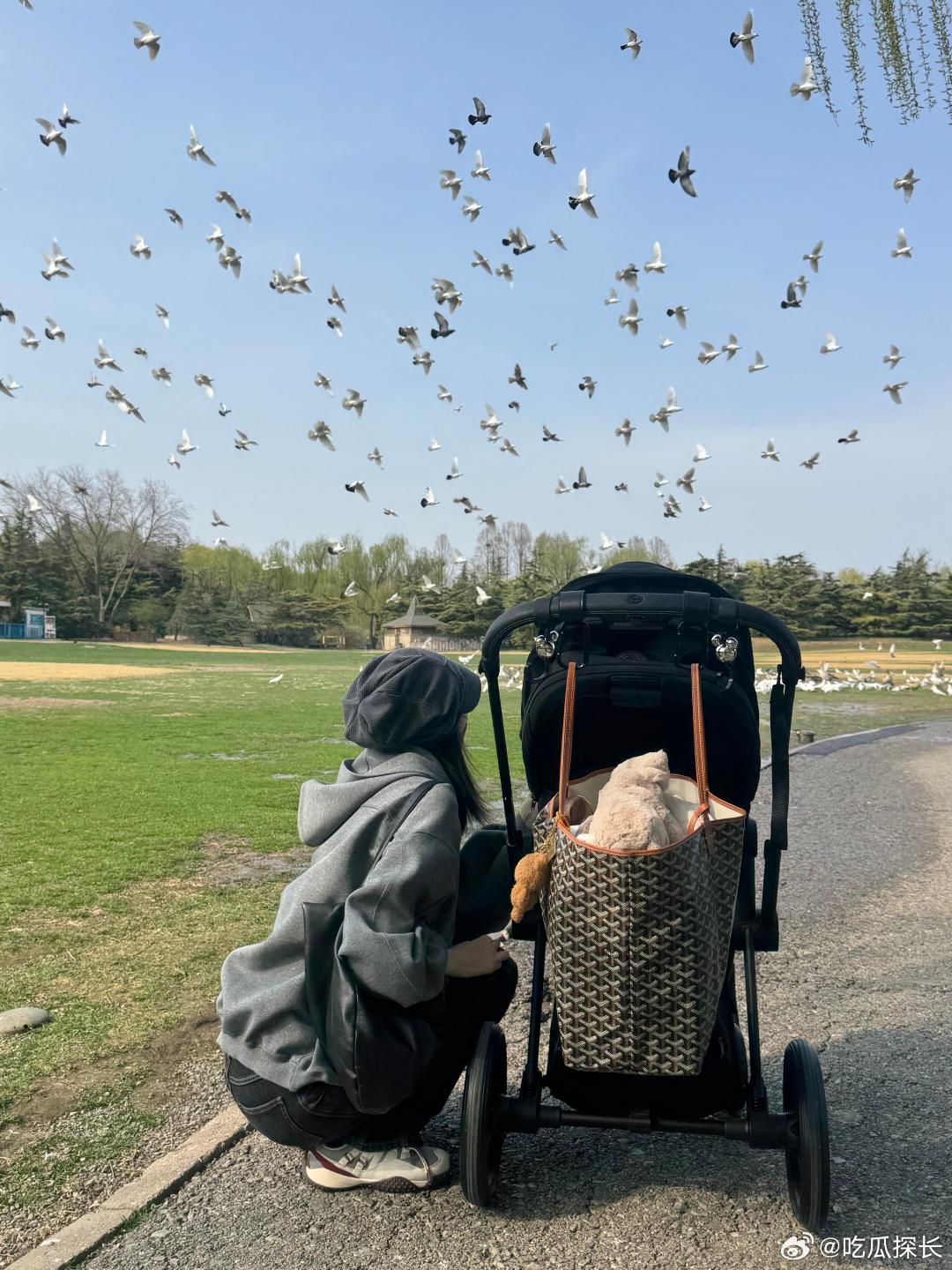 何穗抱儿子背影照何穗晒遛娃照何穗晒遛娃照，身材恢复得超棒，灰色卫衣配黑裤子依旧有