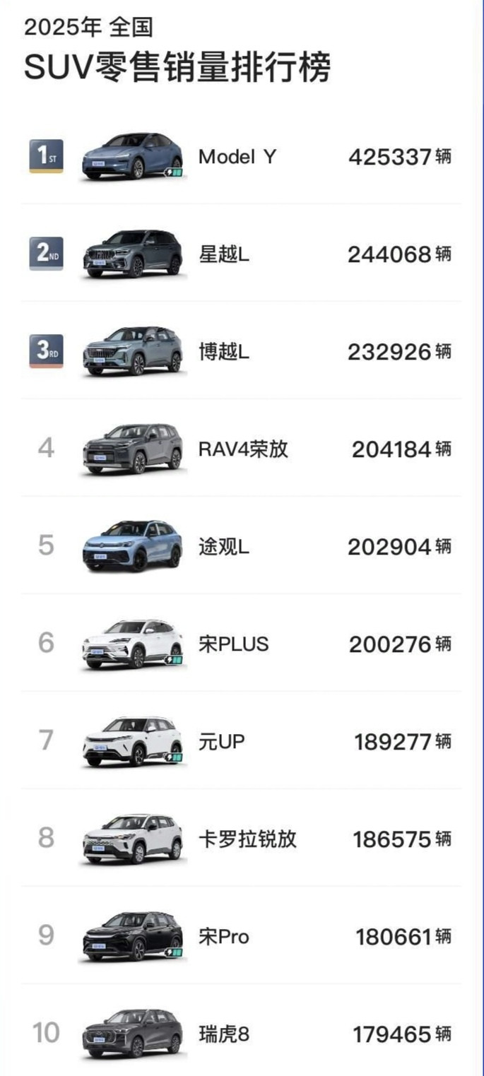 2025年中国市场销售额最高的10款车。