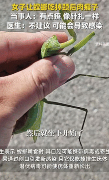 “是个狠人！”山西一女子在工作时，抓到一只螳螂，同事想要踩死它，却遭到女子制止，