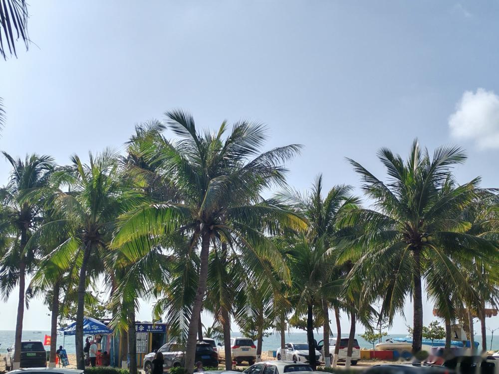 无事献殷勤，非奸即盗。旅游团里有一对老夫妻，对人格外热情，出发的第一天早晨他们满