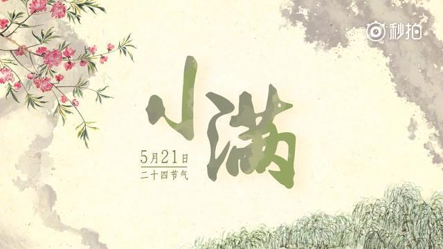 皓月长空下的免费短剧盛宴，皓月长空下的免费短剧盛宴，夜空下的文化狂欢