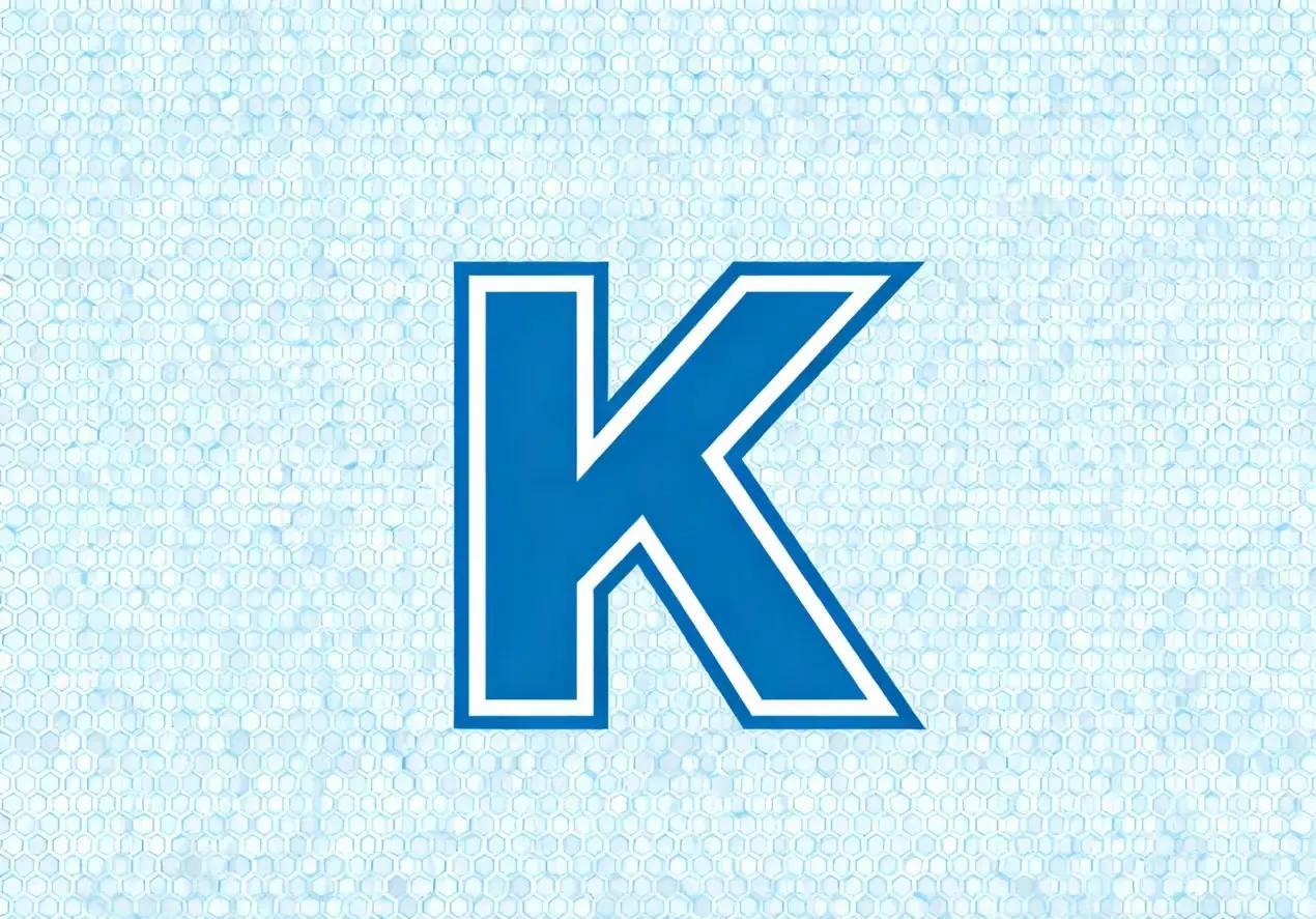 很多人都不懂，就开始评论K签证。首先，签证是分好多种的，K-1,K-2，每一个