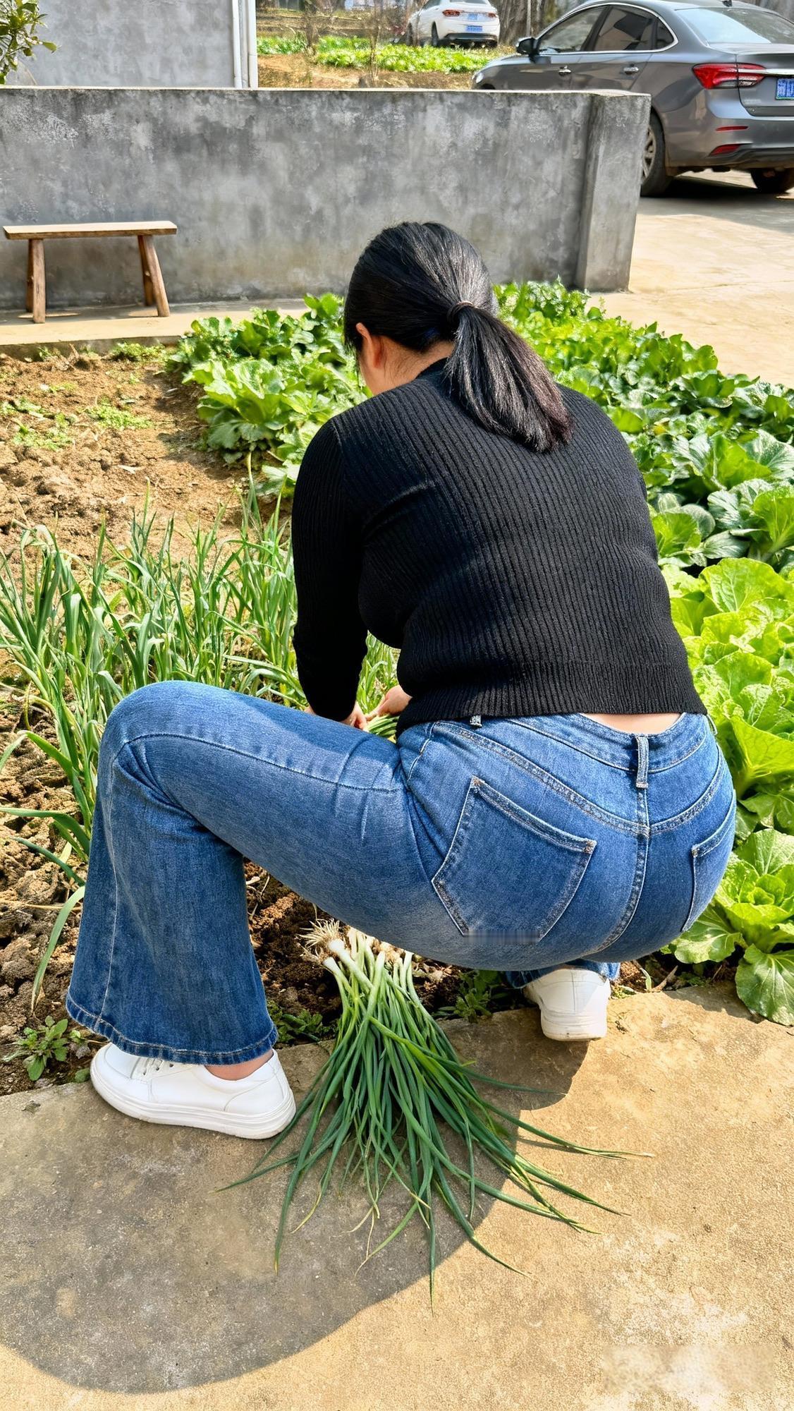 暖阳漫过水泥地，落在畦垄间的青蒜上，叶片凝着薄脆的光。深黑针织衫的轮廓伏在田埂边