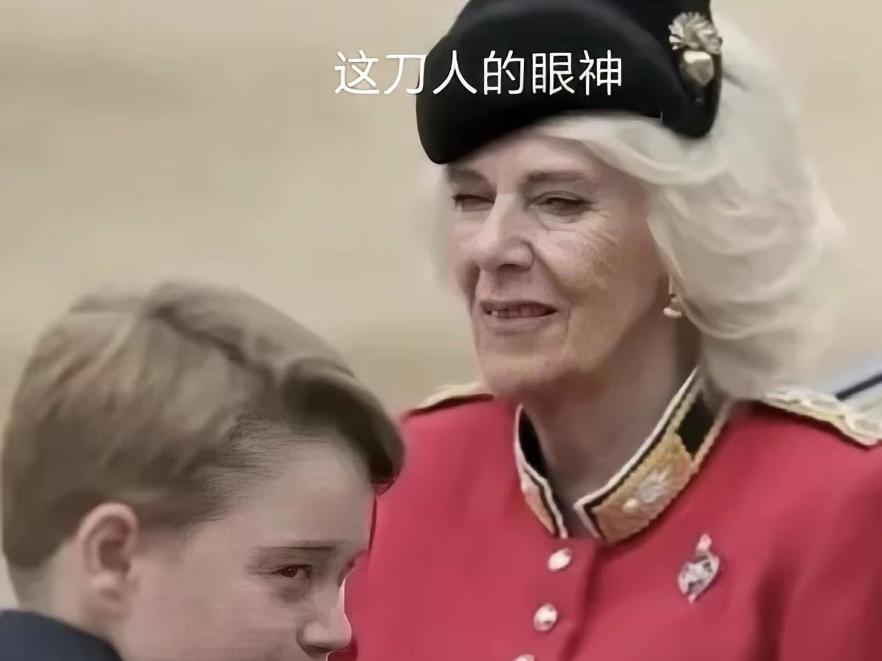 对威尔士三宝，卡米拉是不藏一点点呀！到底不是自己的血脉，对威廉和凯特的孩子，卡