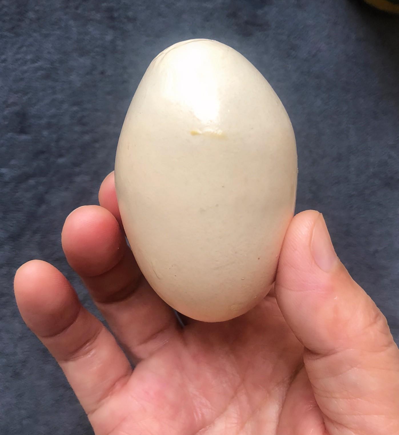 微信摇来的老公，7个月后跳楼自杀。这突如其来的噩耗，如同晴天霹雳，狠