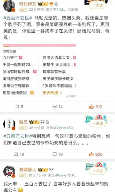 果然还得是wb的热搜，抽象