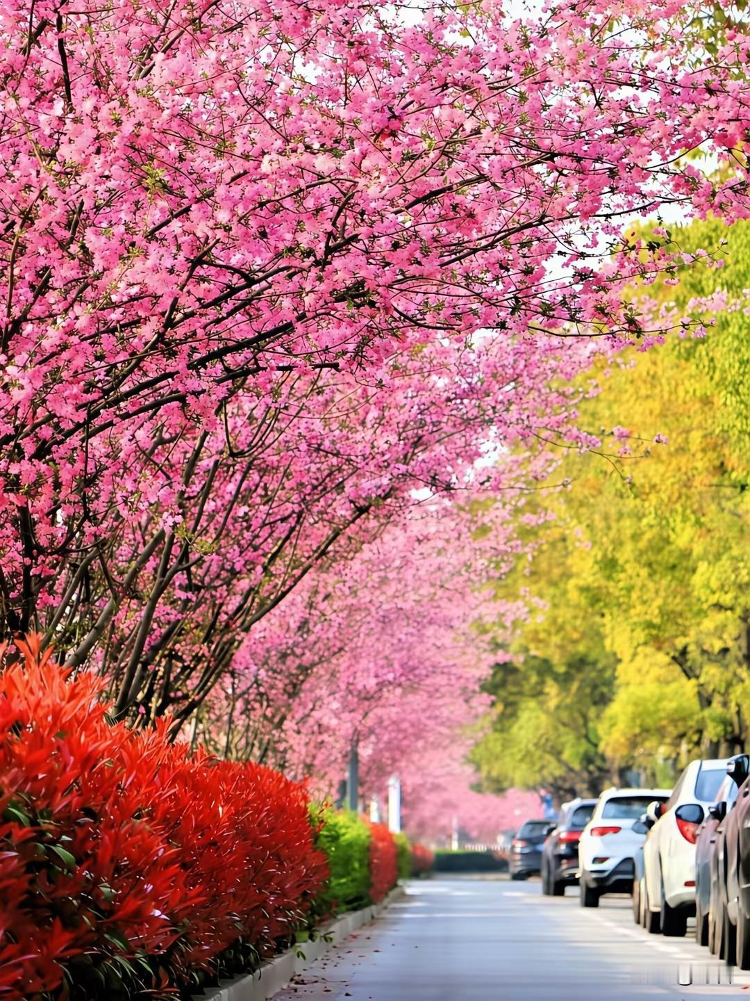 体制内最大的成功，不是升官发财体制内最大的成功，是活得舒服、走得长远、全身而