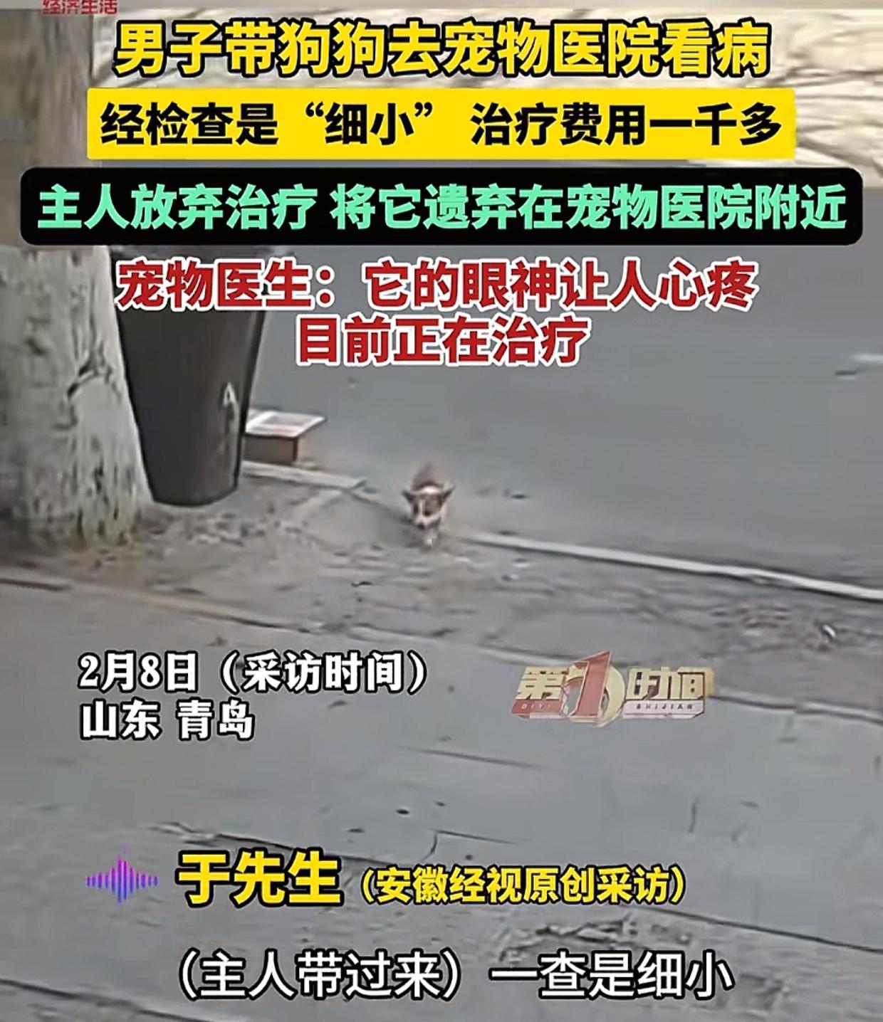 青岛，男子带小狗去宠物医院，医生检查后说是细小病，要花1000多元。男子考虑了几