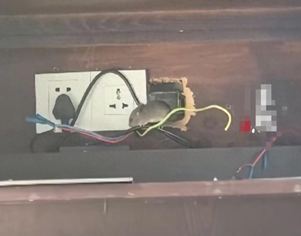 太离谱了！海南陵水，男子带着家人旅游，在酒店开了一间带泳池的别墅房型，仅仅是一晚