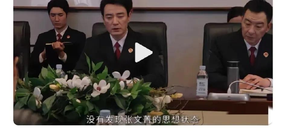 8.《以法之名》。为“讼棍”张文菁女侠点赞！[赞]张文菁的智慧超过了在场开会的所