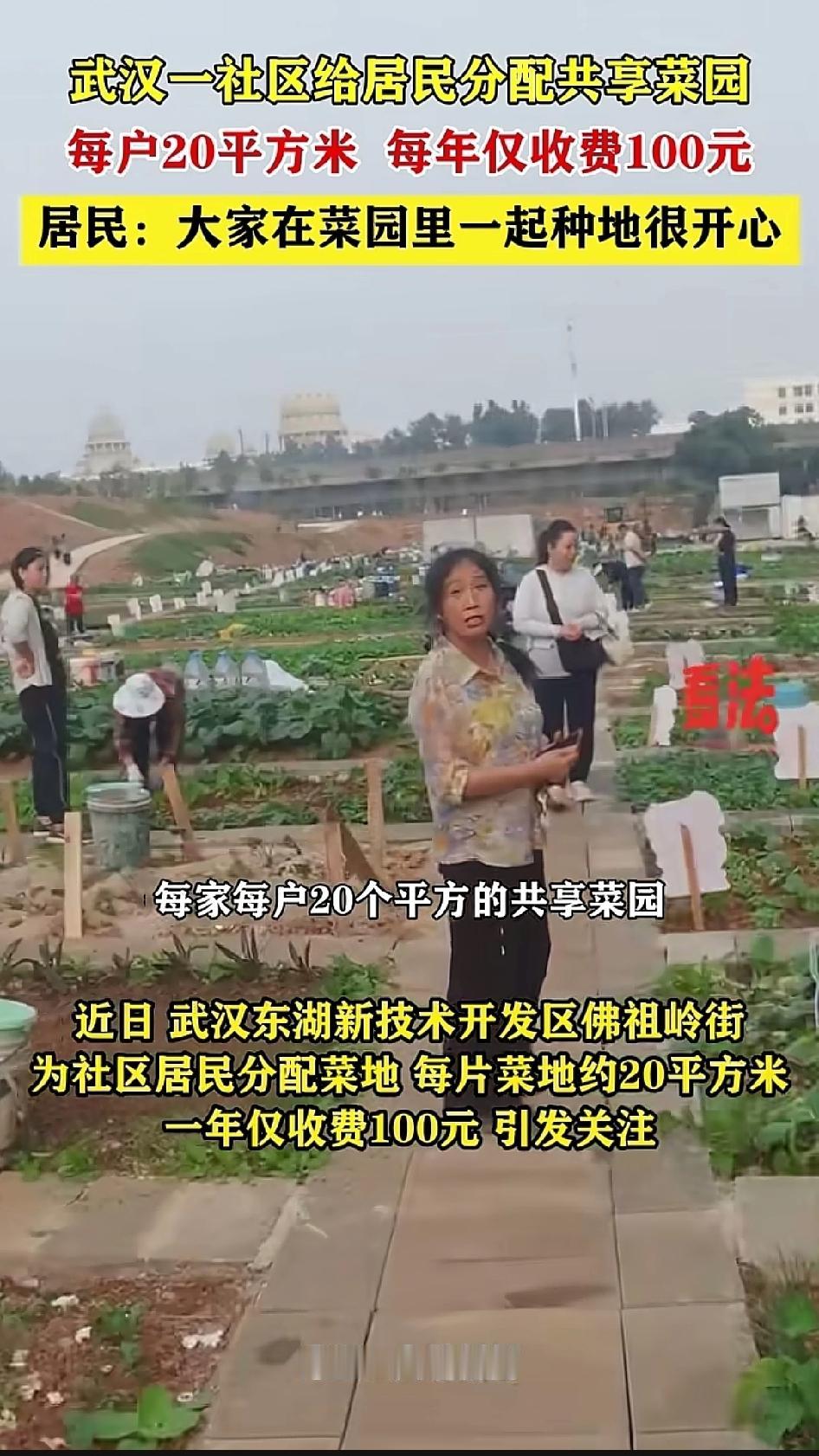 武汉一个社区，给居民每家分了20平米的小菜园，每年只需要交100块钱，居民们经常