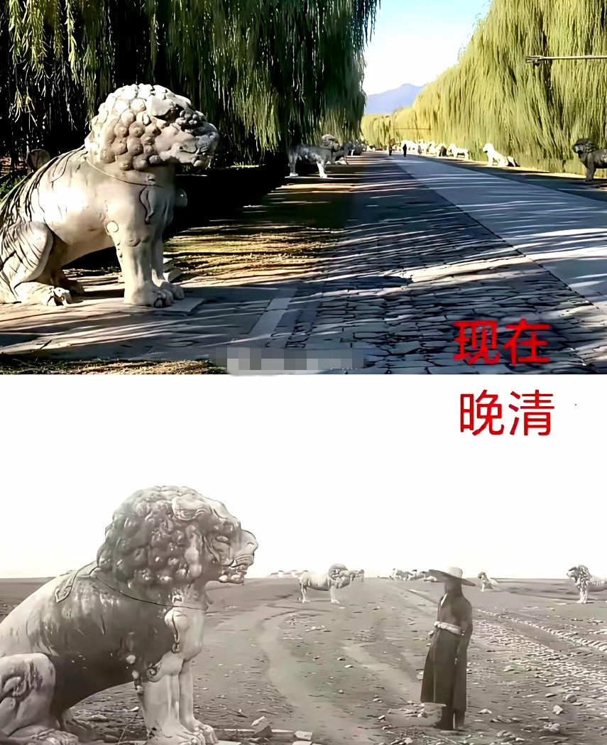 图二为什么没有树木呢？​
