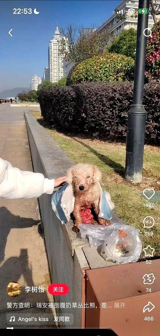 把狗肚子划开，小狗掏出来卖掉。然后把肠子还在外面的狗妈，直接扔进麻袋，丢进草丛