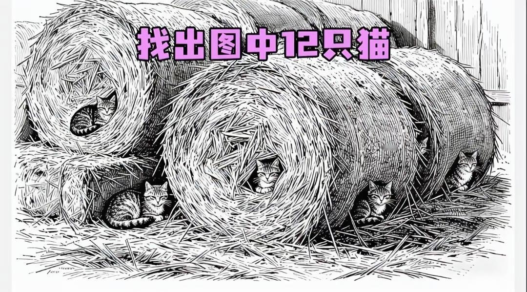 干草堆藏了12只猫咪！绝大多数人只能找出8只，你敢挑战吗眼力测试看图找猫