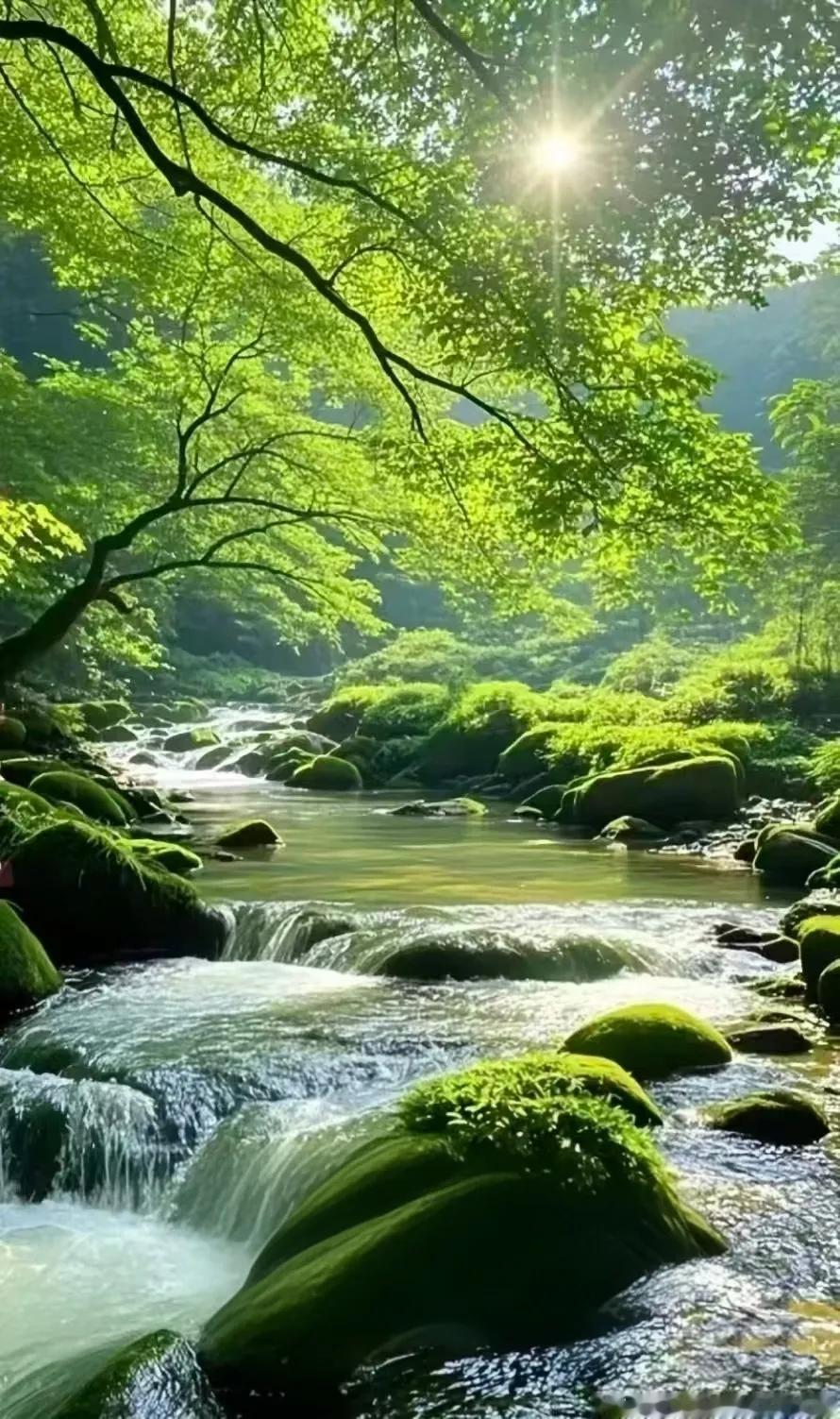 走过半生，才明白太多道理。以前急于表达自己，渴望外界认可，结果发现人类悲欢并不