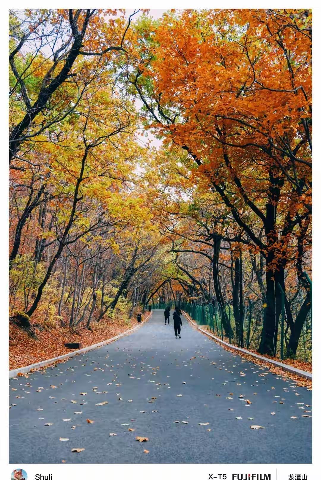 知道吗？老年人喝牛奶、豆浆，这么选才对！喝牛奶：记住有高血脂的不要选