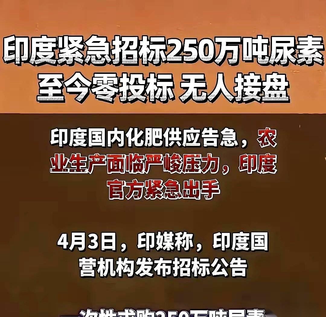 印度一场250万吨的化肥招标会，硬生生开成了个冷场笑话。他们把请柬发遍全球，姿