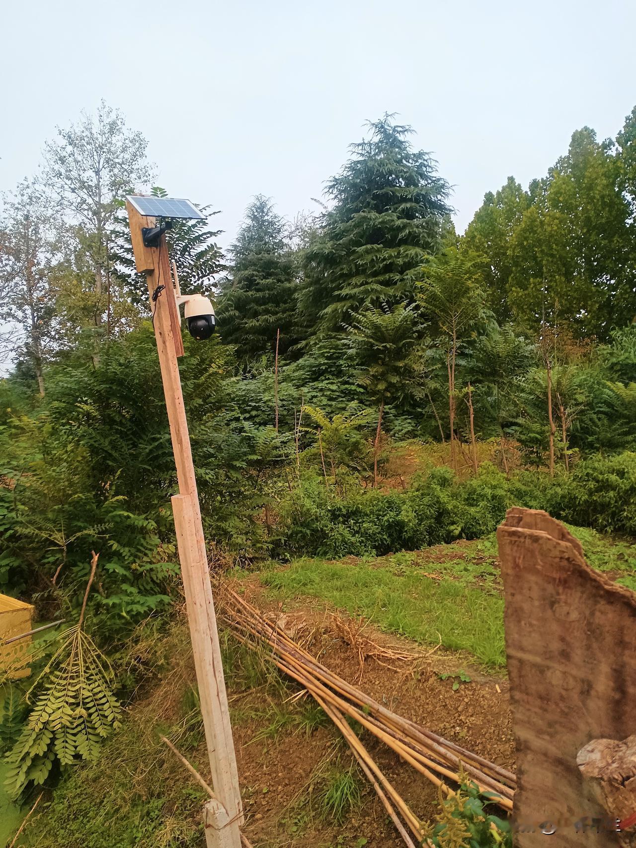 孩子以学习为由玩手机家长该怎么办孩子以学习之名玩手机，让家长十分头疼。拒绝吧，