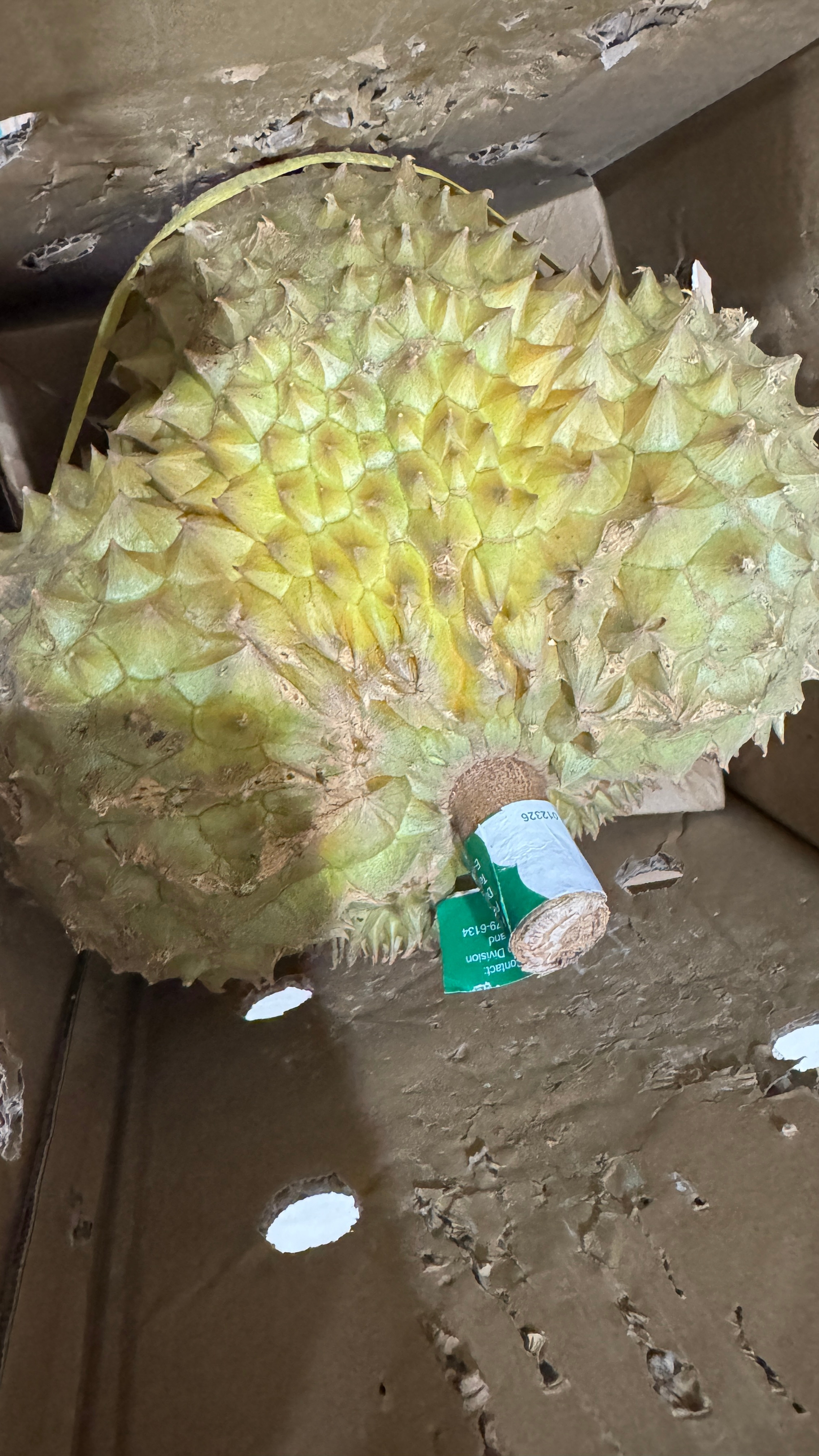 我买了一个榴莲，3天了，一天要看要按无数次熟了没，空了就看，追完剧饿了就看，然后