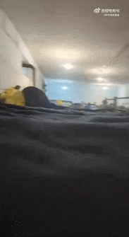 乌克兰《国家》杂志发布了关于乌军在文尼察州一个训练中心情况的报道。报道要点摘要：