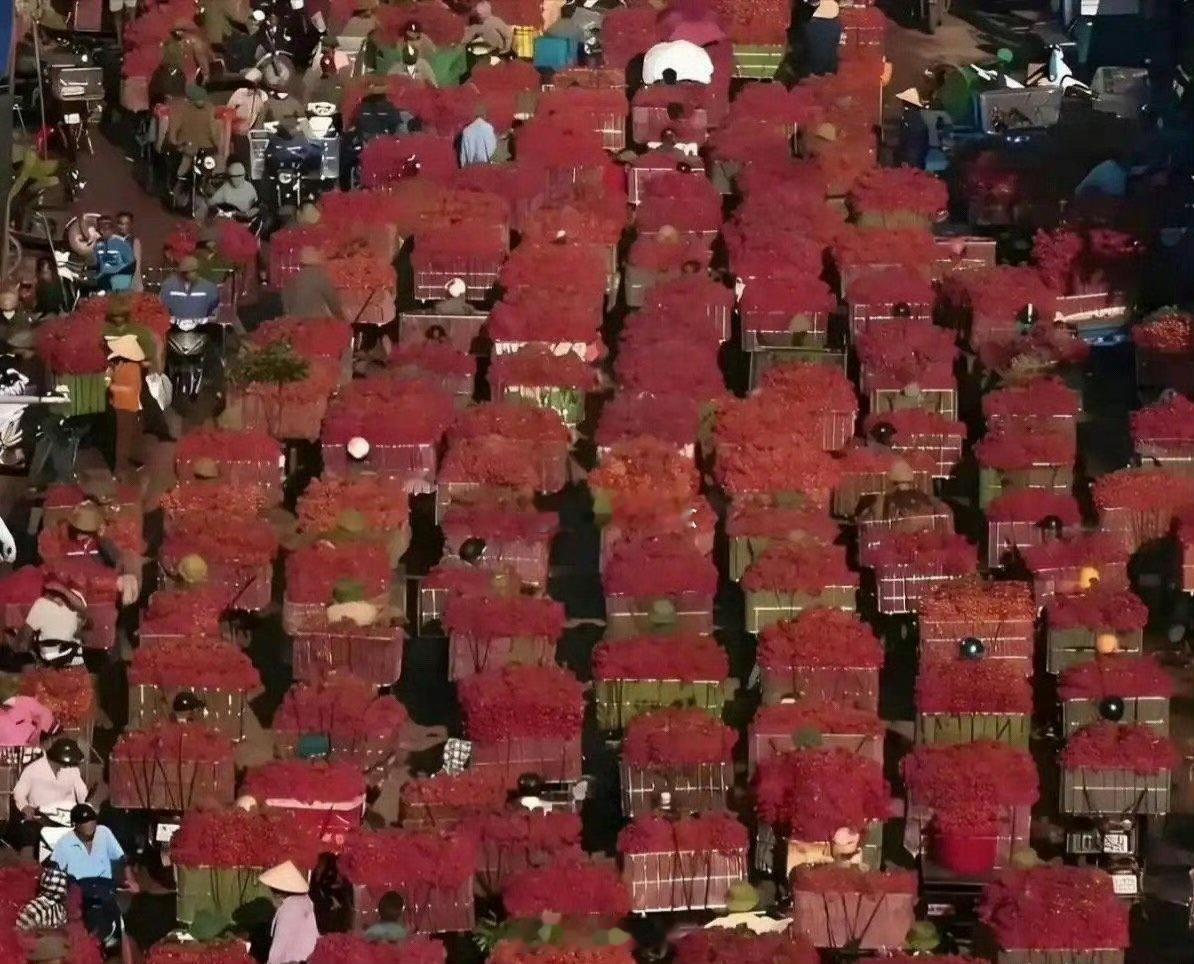 都要烂大街了，为什么也不肯降价？