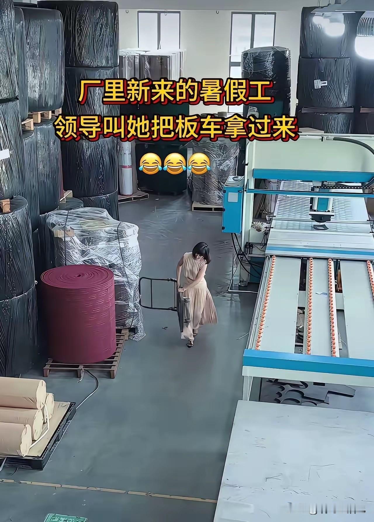 还是好好读书吧