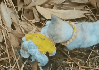 泪目了！这天一位小姐姐在河边散心，寒冷的风吹在她的脸上有些寒冷，她却觉得特别清醒