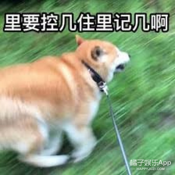 Բǵķ˿