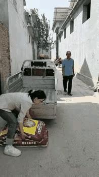 大爷这么做，算帮忙呢？一女子想把化肥搬到三轮车上，可她费了好大劲，也没有搬起来
