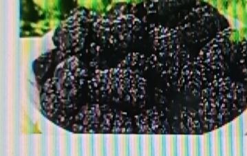 老年人养生选桑葚干挺不错。它可是“民间圣果”，有不少功效。能补血养颜，促进造血细