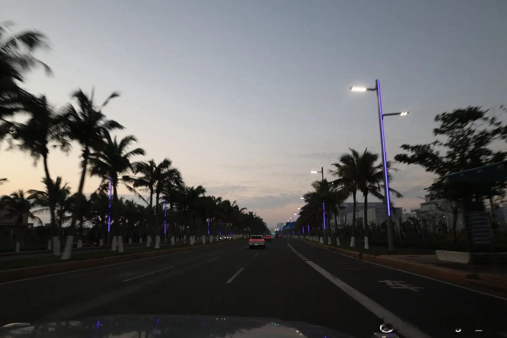 林诗栋更新抖🎵：2026越来越好😁😁😁记录生活海边椰树日落🌇评论：