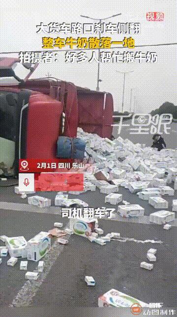 真是一群善良的人！四川乐山一处道路上，一辆大货车行驶时不慎侧翻，导致车上装载的牛