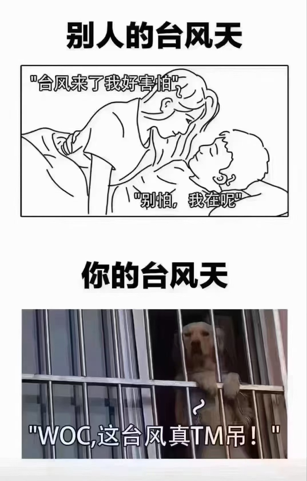 人间真实[汗]​​​