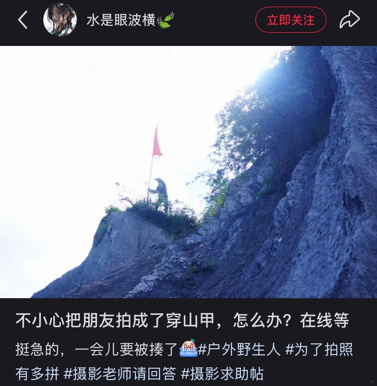 Ta到底说了什么？
