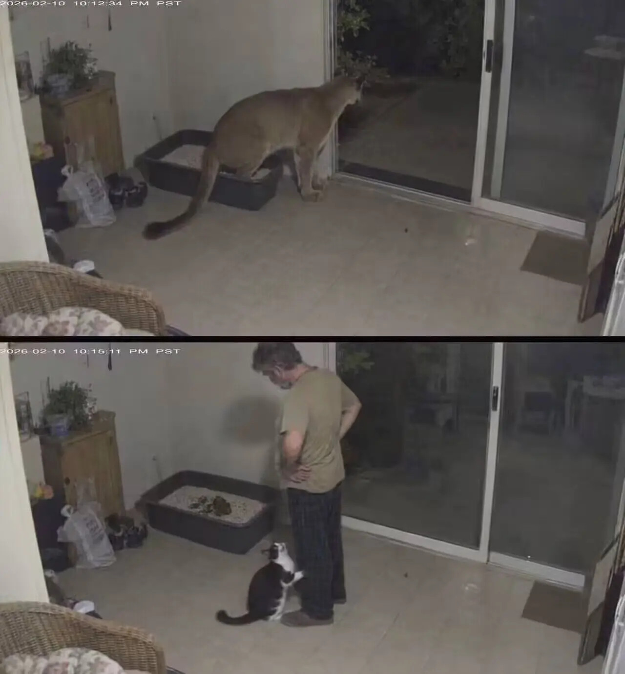 猫咪真是有口难辩啊！​​​